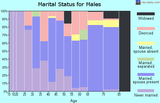Zip code 99929 marital status for males