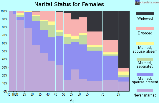 Zip code 01040 marital status for females