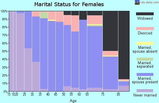 Zip code 03110 marital status