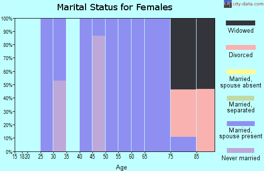 Zip code 03765 marital status for females