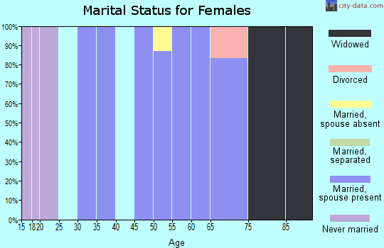 Zip code 03770 marital status for females