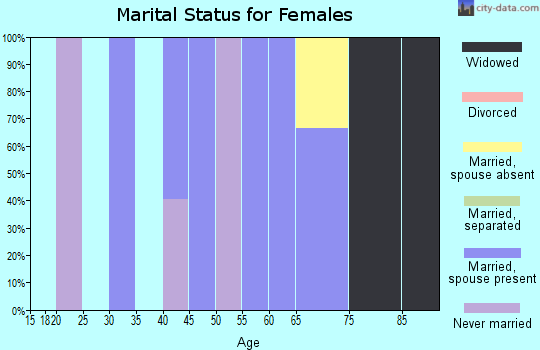 Zip code 03838 marital status for females