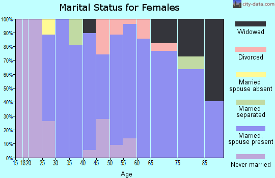 Zip code 03840 marital status for females