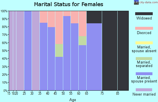 Zip code 03849 marital status for females