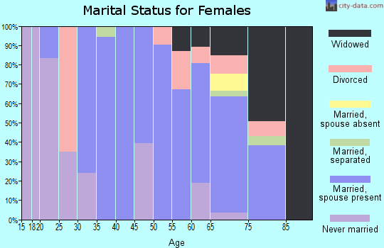 Zip code 03862 marital status for females