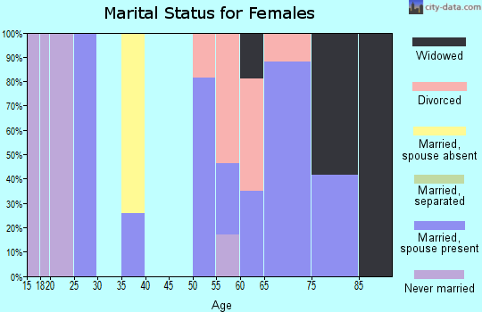 Zip code 03905 marital status for females