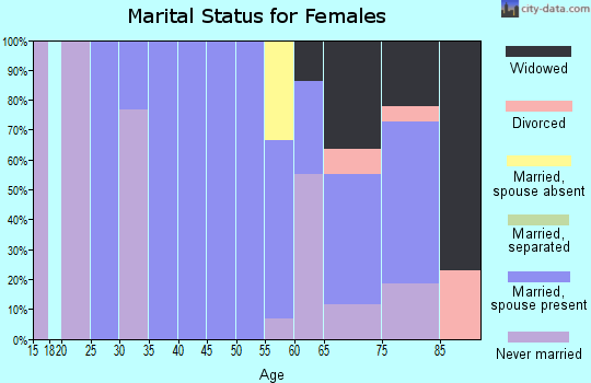 Zip code 03907 marital status for females
