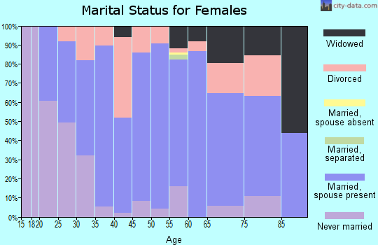 Zip code 04002 marital status for females