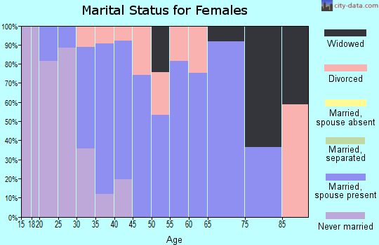 Zip code 04008 marital status for females