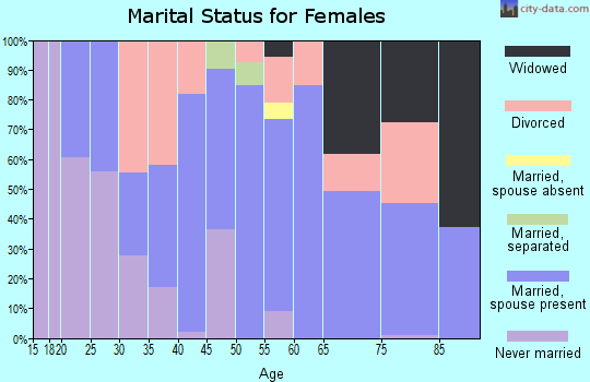 Zip code 04009 marital status for females