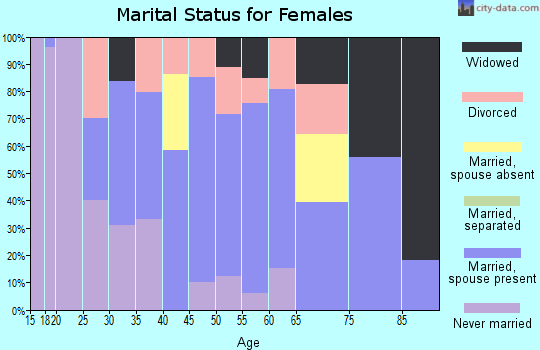 Zip code 04010 marital status for females