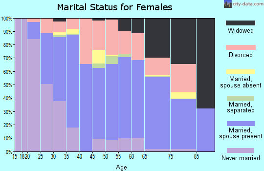 Zip code 04011 marital status for females