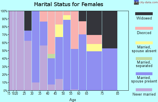 Zip code 04015 marital status for females
