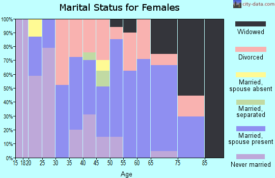 Zip code 04020 marital status for females