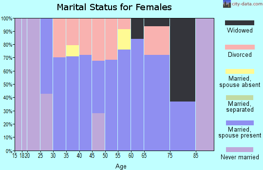 Zip code 04022 marital status for females