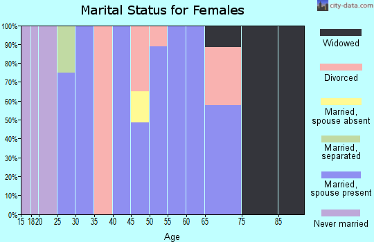 Zip code 04024 marital status for females