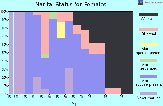Zip code 04027 marital status for females