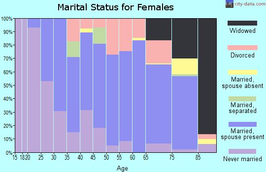 Zip code 04032 marital status for females