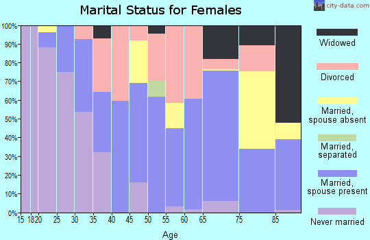 Zip code 04037 marital status for females