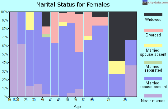 Zip code 04039 marital status for females