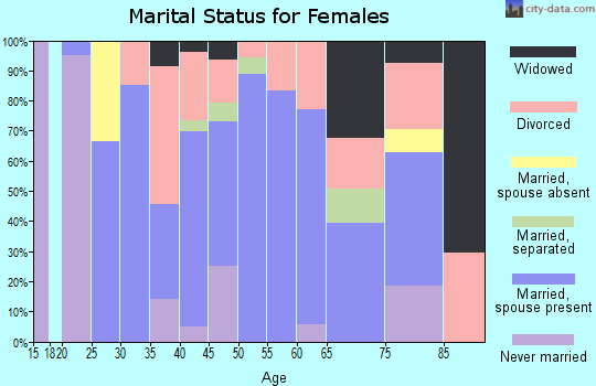 Zip code 04041 marital status for females