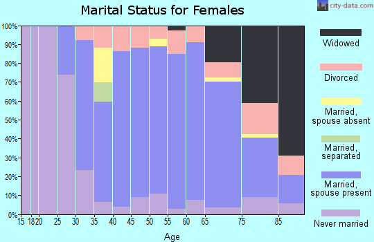 Zip code 04043 marital status for females