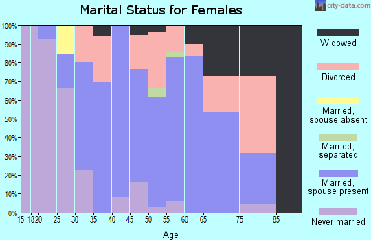 Zip code 04049 marital status for females