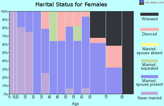 Zip code 04051 marital status for females