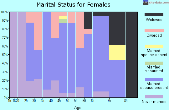 Zip code 04055 marital status for females