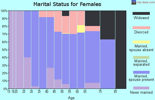 Zip code 04071 marital status for females