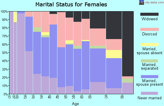 Zip code 04073 marital status for females