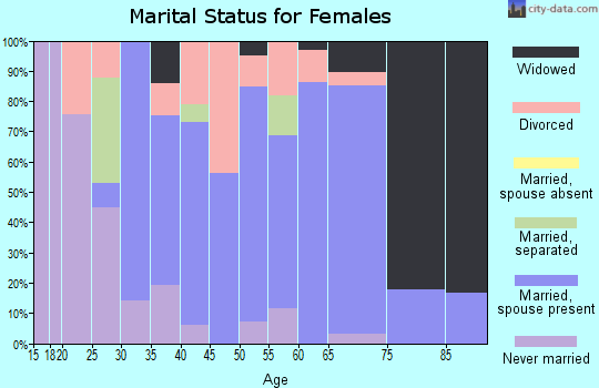 Zip code 04076 marital status for females