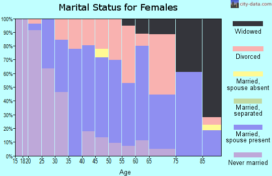 Zip code 04083 marital status for females