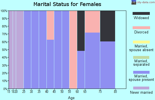 Zip code 04087 marital status for females