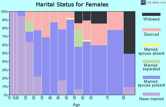 Zip code 04093 marital status for females