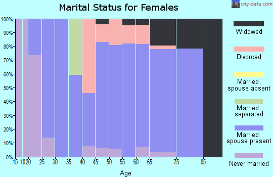 Zip code 04095 marital status for females