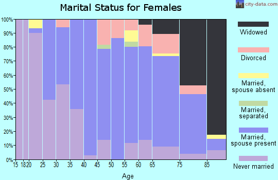 Zip code 04096 marital status for females