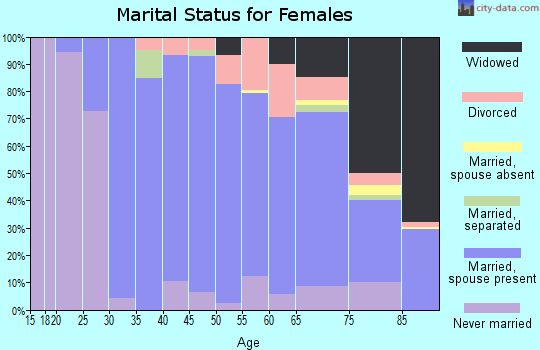 Zip code 04105 marital status for females