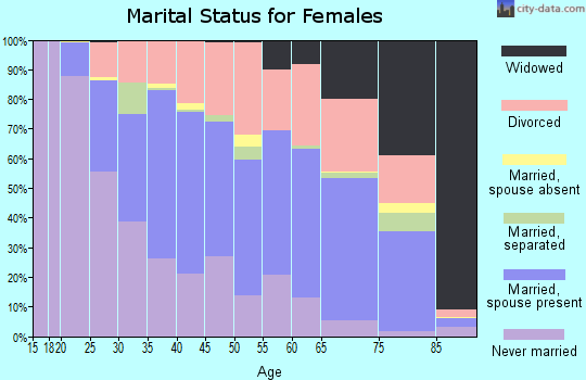 Zip code 04106 marital status for females