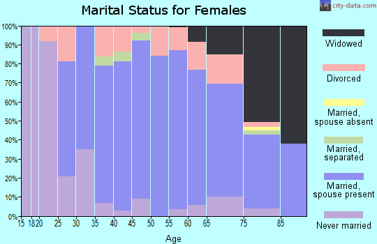 Zip code 04107 marital status for females