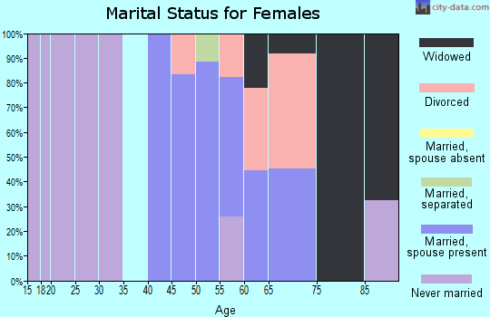 Zip code 04108 marital status for females