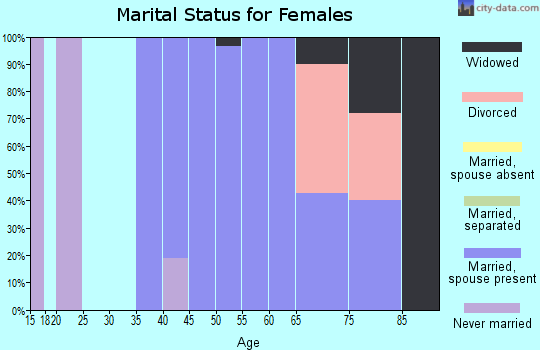 Zip code 04110 marital status for females