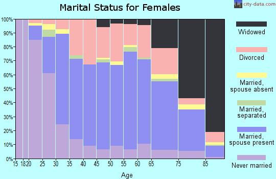 Zip code 04210 marital status for females