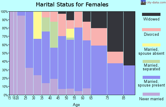 Zip code 04220 marital status for females
