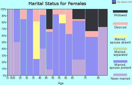 Zip code 04221 marital status for females