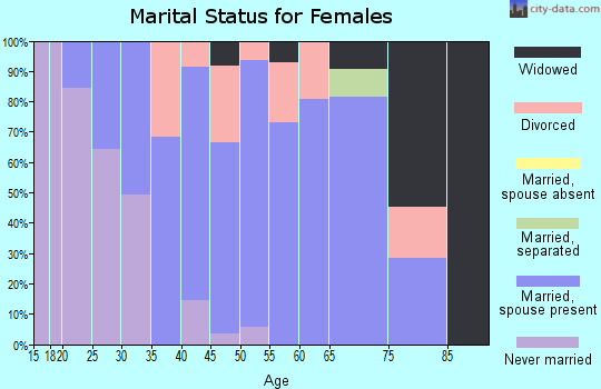 Zip code 04222 marital status for females