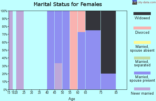 Zip code 04237 marital status for females