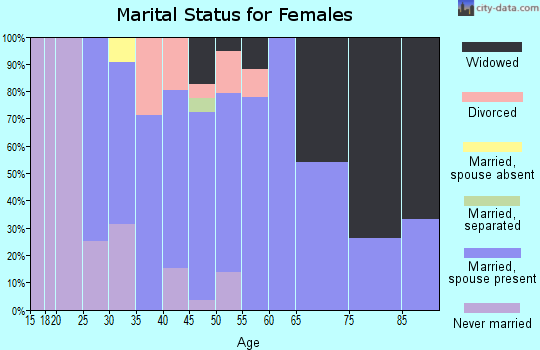 Zip code 04238 marital status for females