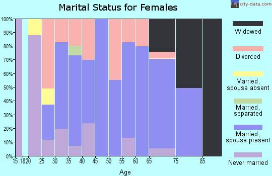 Zip code 04239 marital status for females