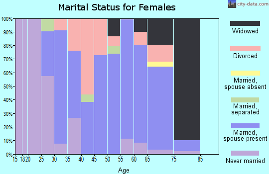 Zip code 04252 marital status for females